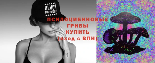 стаф Киреевск